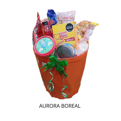 Ancheta Aurora Boreal